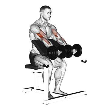 Dumbbell-Seated-Preacher-Curl