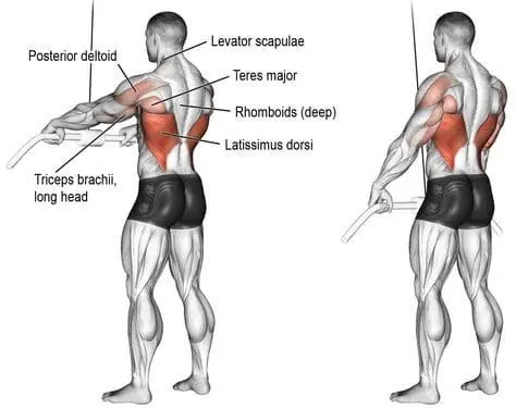 Vertical Pull Exercises