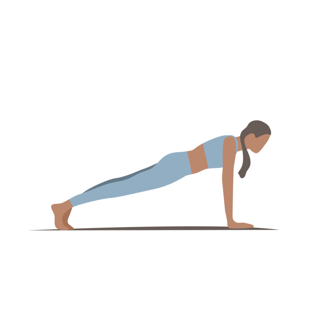 pilates workout at home the plank